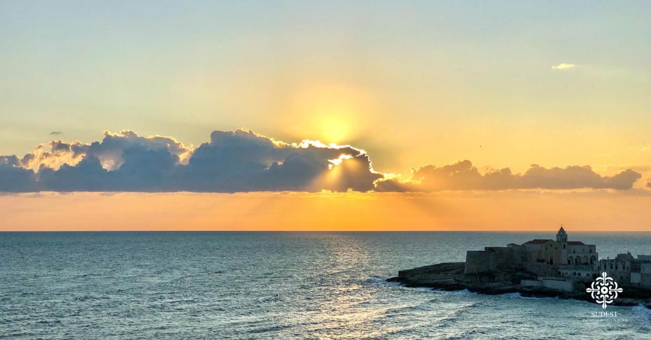 Ferienwohnung Infinito - Attico Sul Mare Vieste Exterior foto
